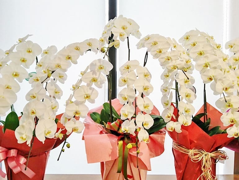 業種別 開店祝いのおすすめプレゼント30選 Becos Journal